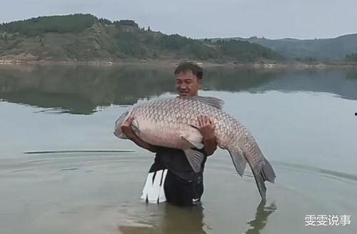 青鱼视频国产在线,国产在线影视盛宴，尽享视听盛宴